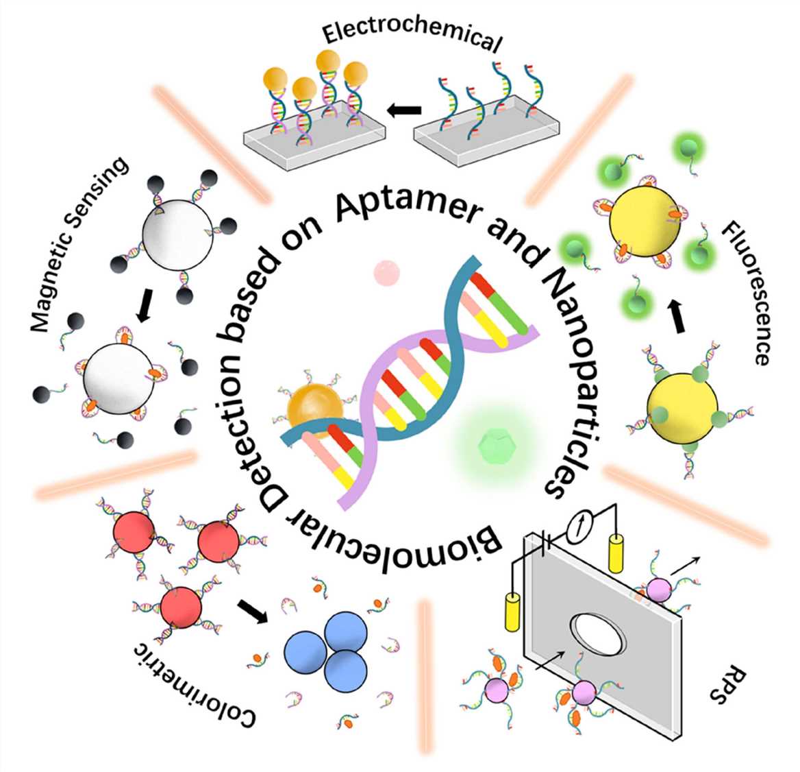 Nanoparticle-aptamer-based biomolecular detection mechanisms.