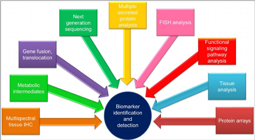 Techniques used for biomarker identification and detection.