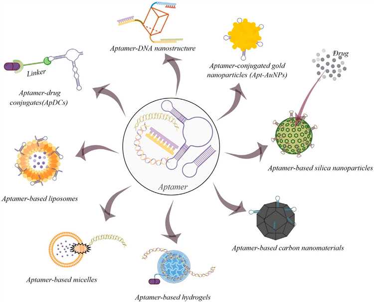 Some common examples of aptamer-based drug delivery systems for cancer therapy.