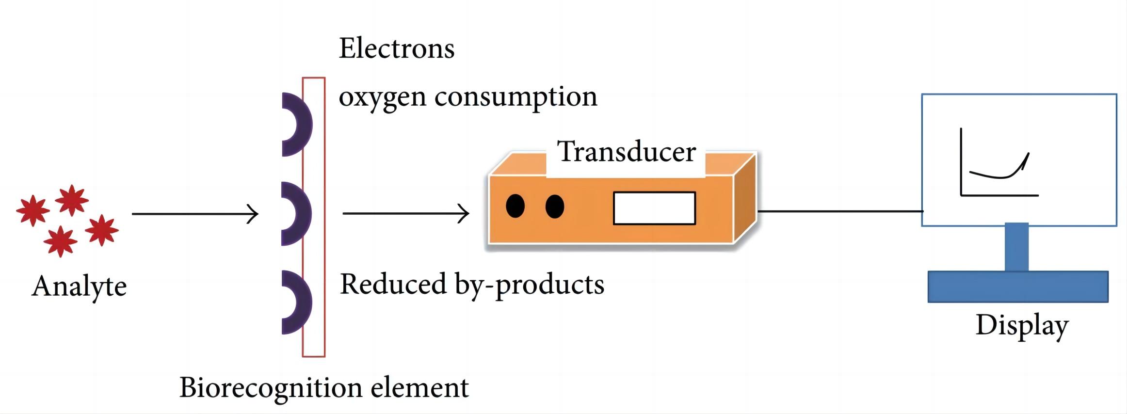 Fig.1 Electrochemical biosensor workflow. (Dhull, et al., 2013)