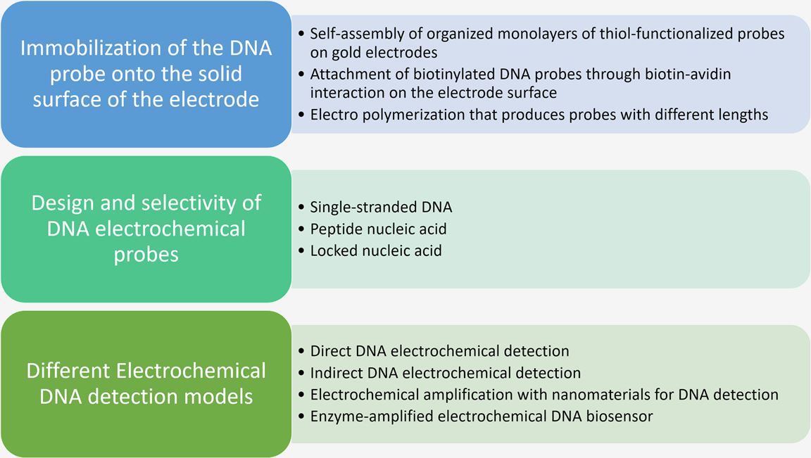 Several factors of biosensor development. (Creative Biolabs Original)r
