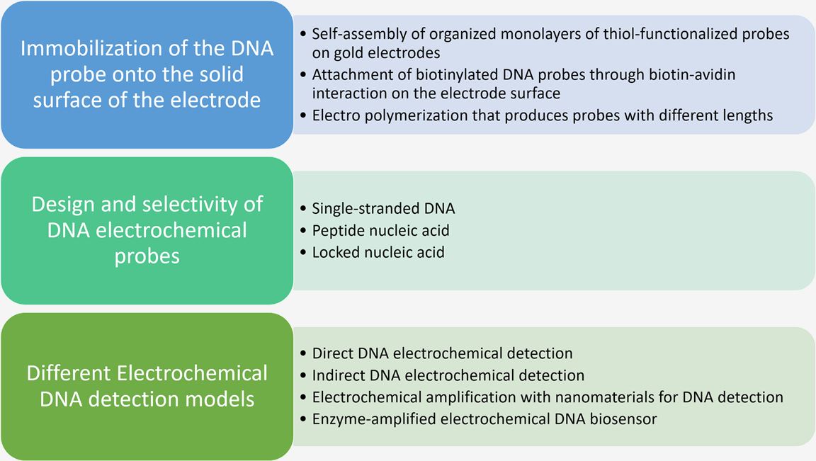 Development of Electrochemical Biosensor