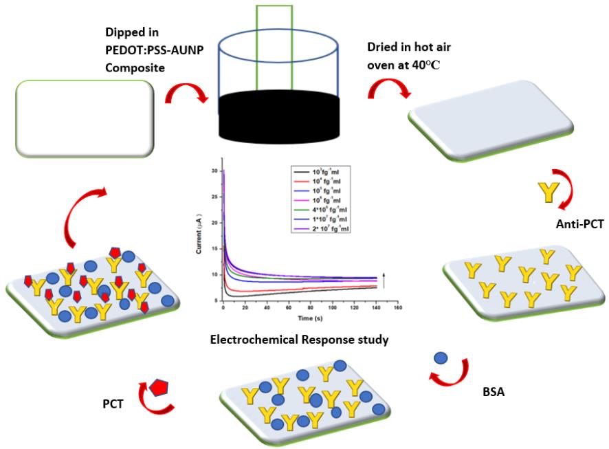 A detailed illustration of the process used to fabricate a conducting paper-based PCT biosensor.