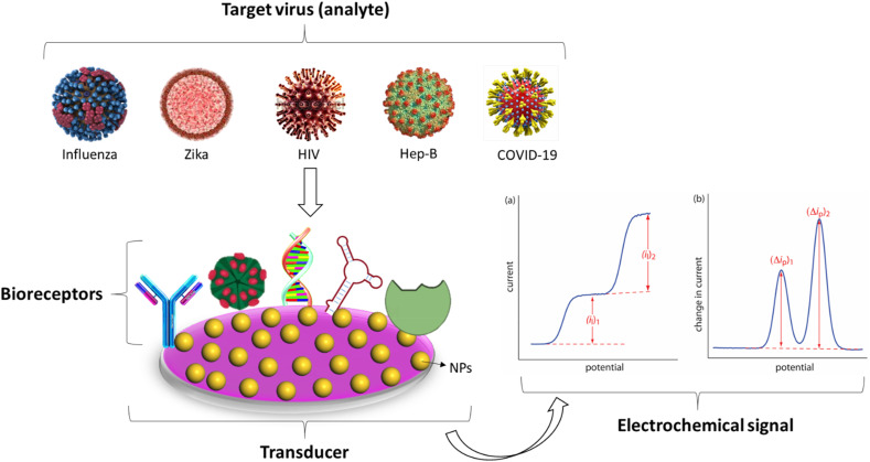 Potential electrochemical biosensor platforms for the detection of various pathogenic viruses.