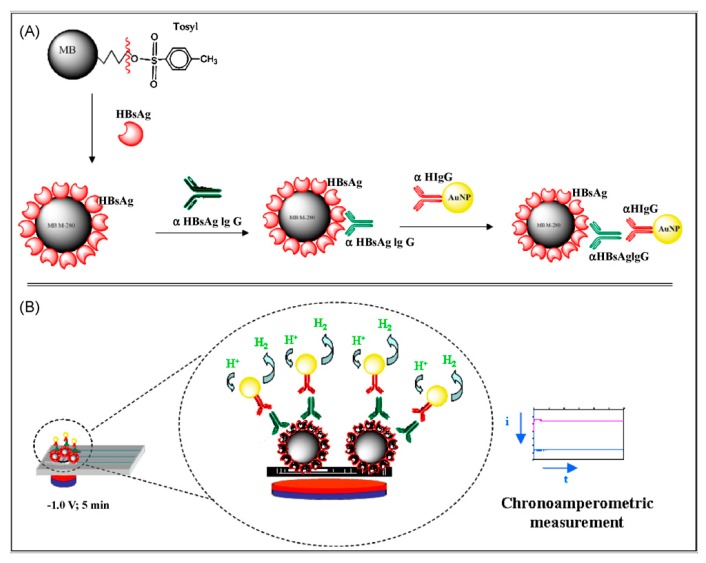 Schematic diagram of HBV detection by electrochemical biosensors.