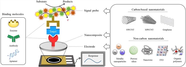 Scheme of analytical principle for electrochemical biosensors based on carbon and non-carbon nanomaterials.