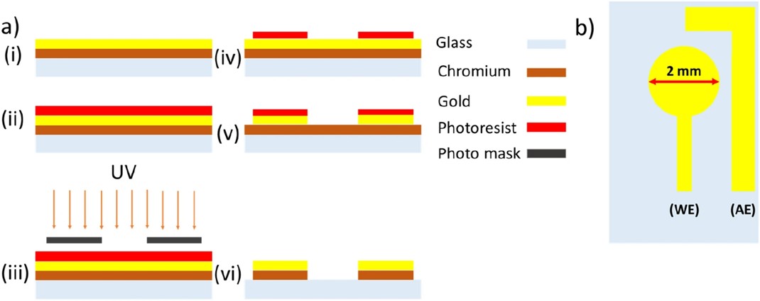 Steps of the fabrication of the chip-based electrochemical immunosensor.