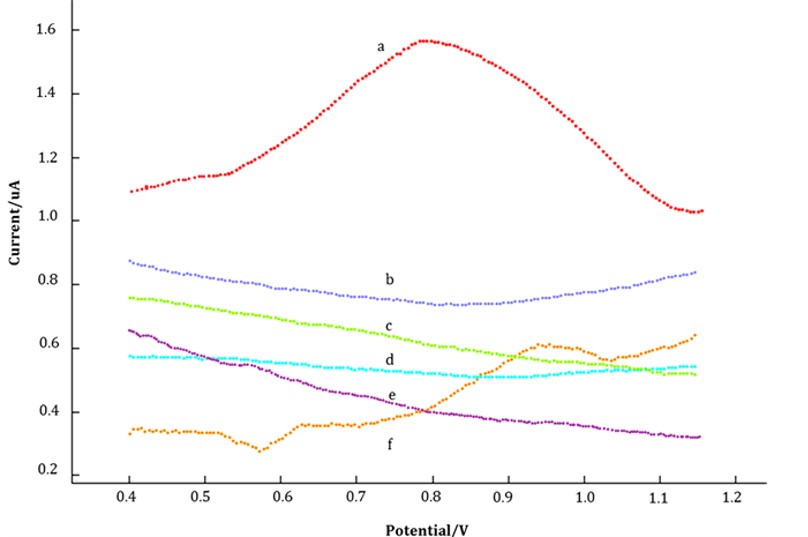 Diagram of differential DPV response recorded for various sensing surfaces and after hybridization with different DNA targets.