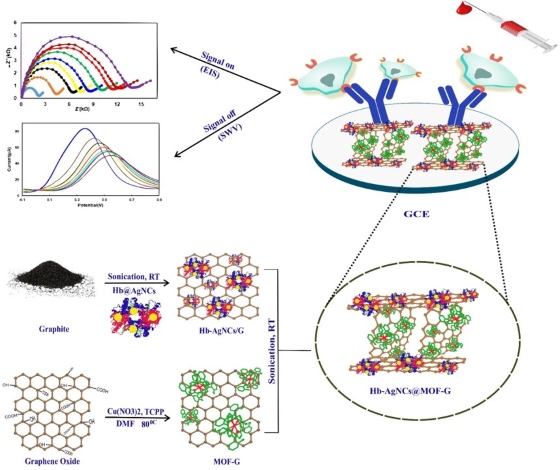 Schematic illustration of HER2-positive breast cancer cell detection with the designed label free electrochemical immonusensor.