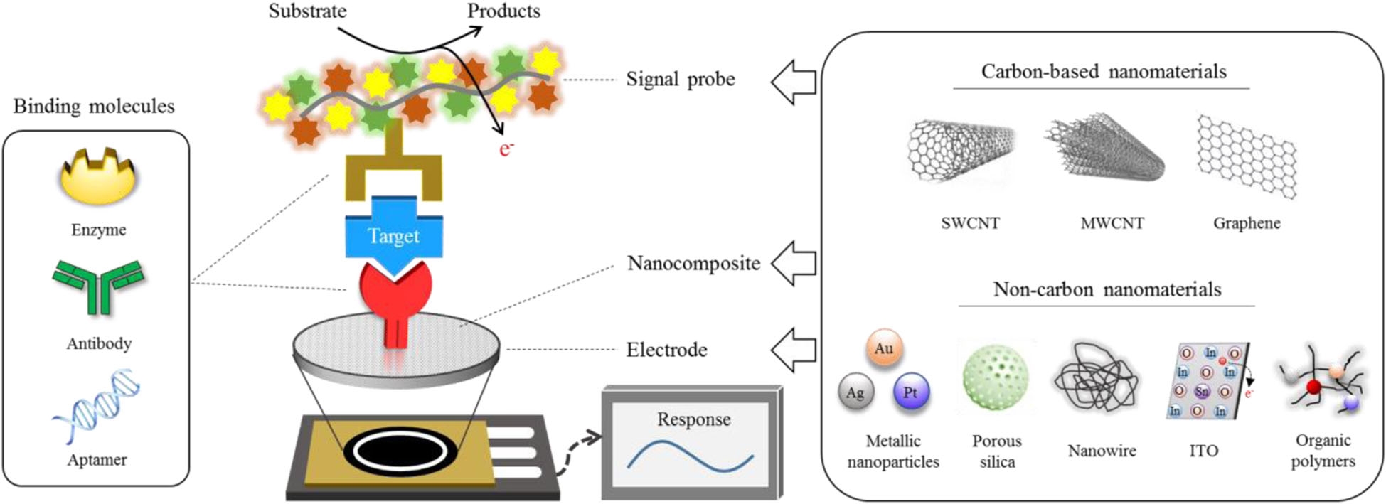 Scheme of analytical principle for electrochemical biosensors based on carbon and non-carbon nanomaterials.