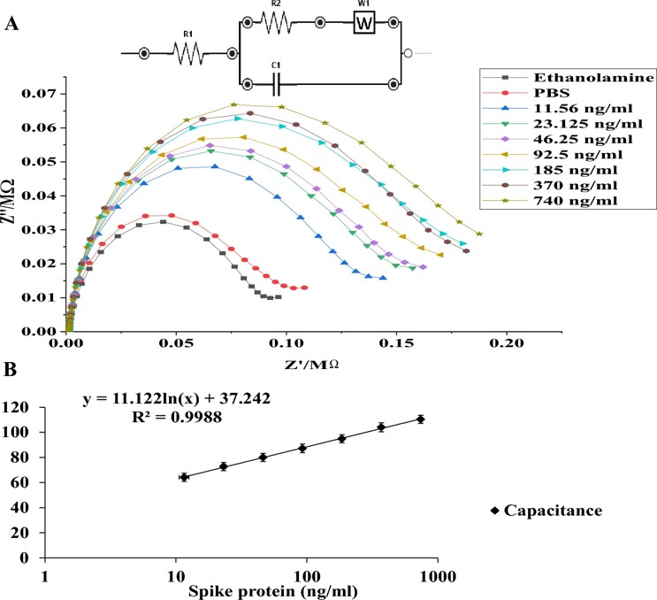 Results from the electrochemical impedance spectroscopy of anti-S protein biosensor.
