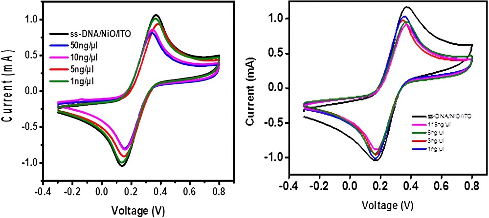Cyclic Voltammogram with different concentrations of target DNA using 1 mM of MB.