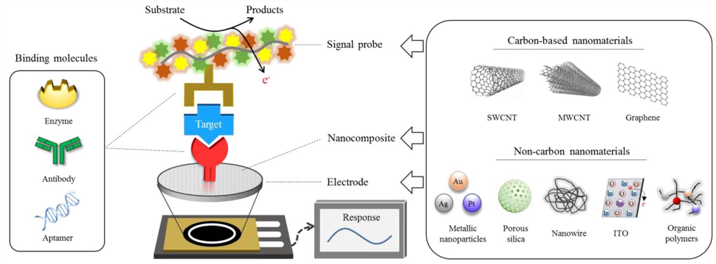 Scheme of analytical principle for electrochemical biosensors.