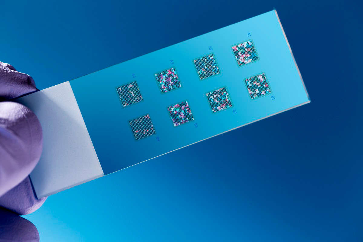 Fig.3 Array technique. (Creative Biolabs Authorized)