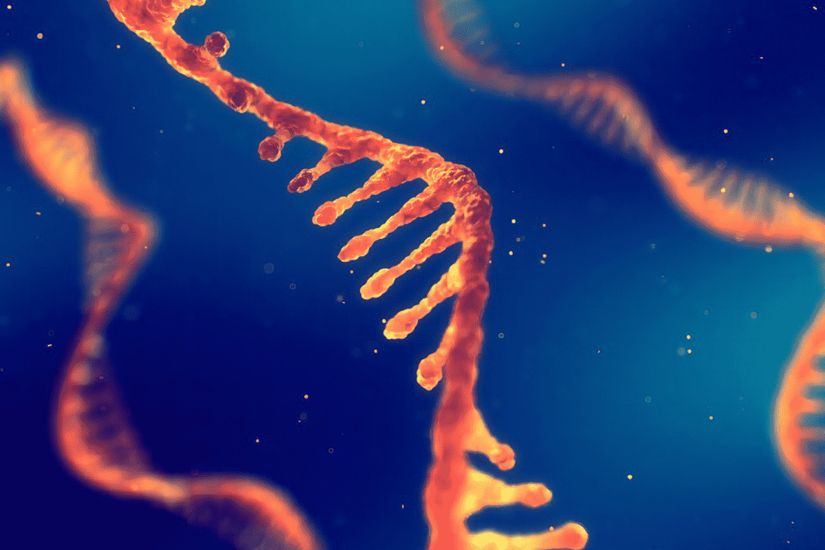 Fig.7 RNA aptamer. (Creative Biolabs Authorized)