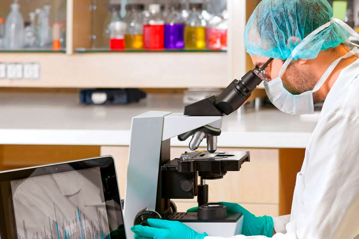 Fig.9 Analysis. (Creative Biolabs Authorized)