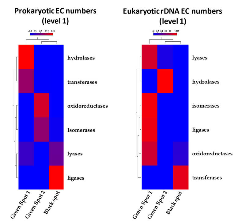 Fig.1 Heatmap of relative abundance of enzymes.