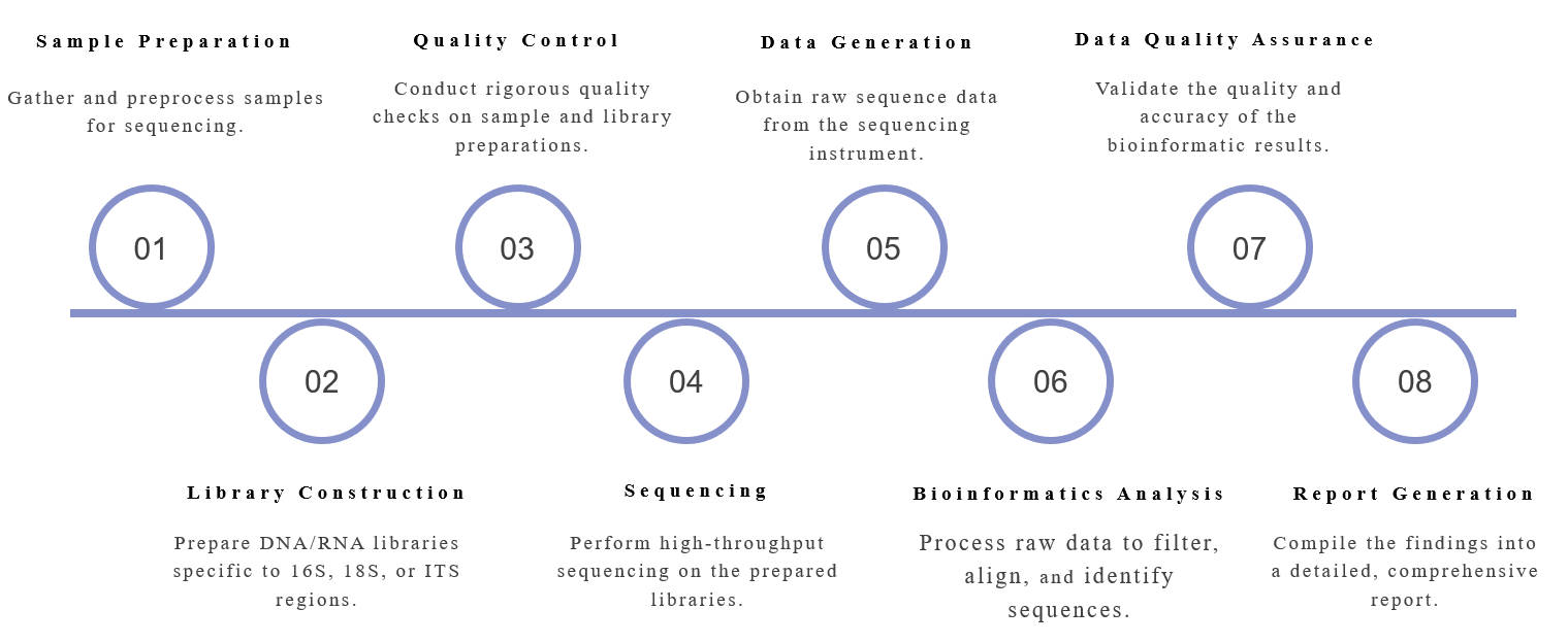 16S/18S/ITS sequencing procedure. (Creative Biolabs Original)