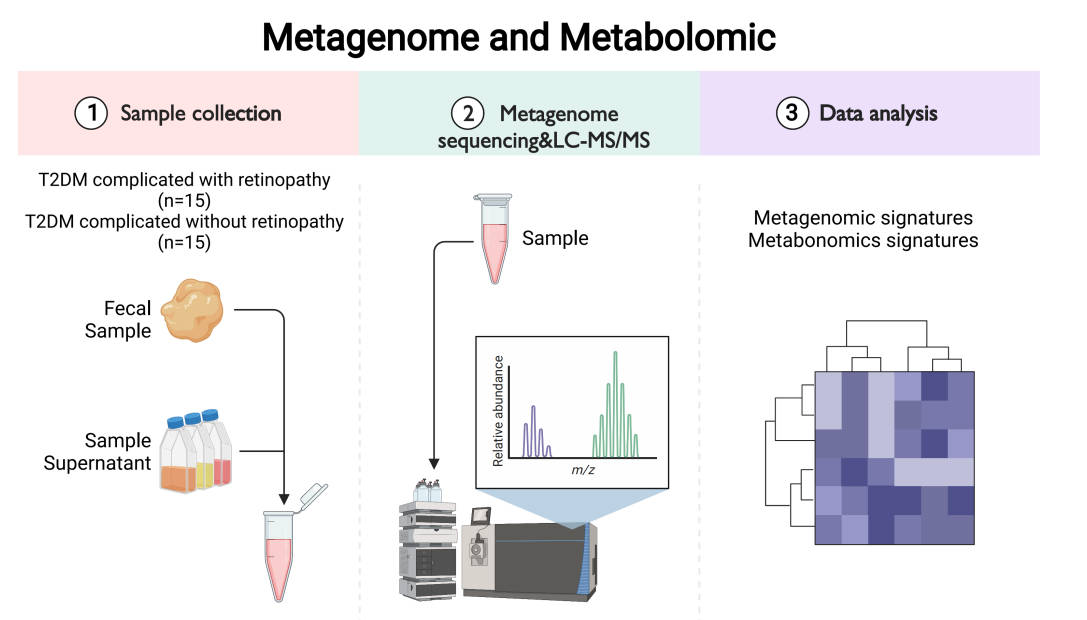 Fig.1 A simplified diagram of metagenomic shotgun sequencing.