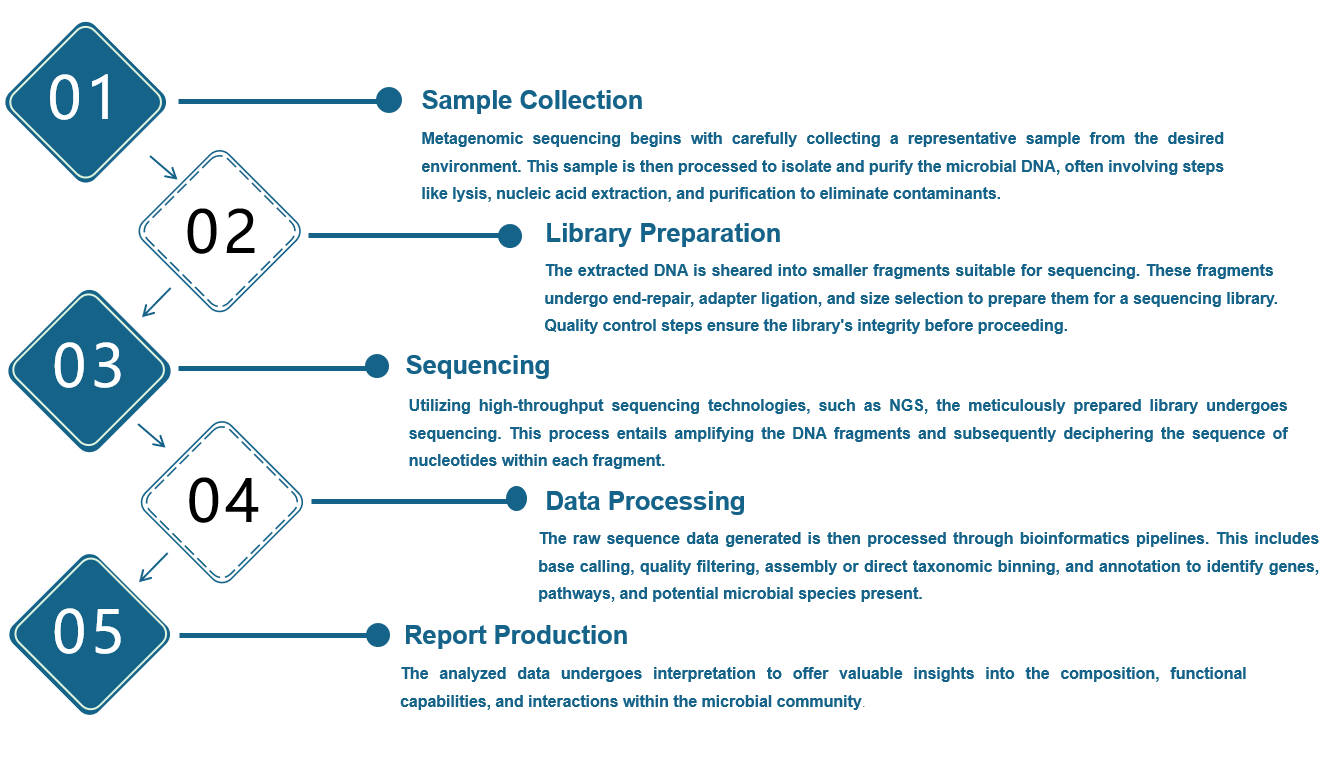Metagenomic sequencing procedure. (Creative Biolabs Original)