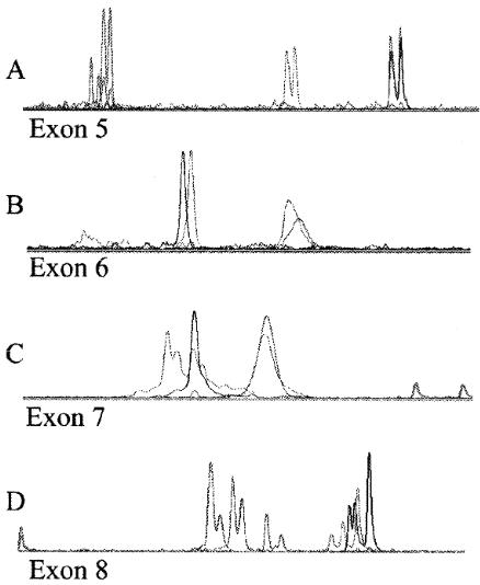 Fluorescent SSCP detection in cell lines with previously reported mutations.