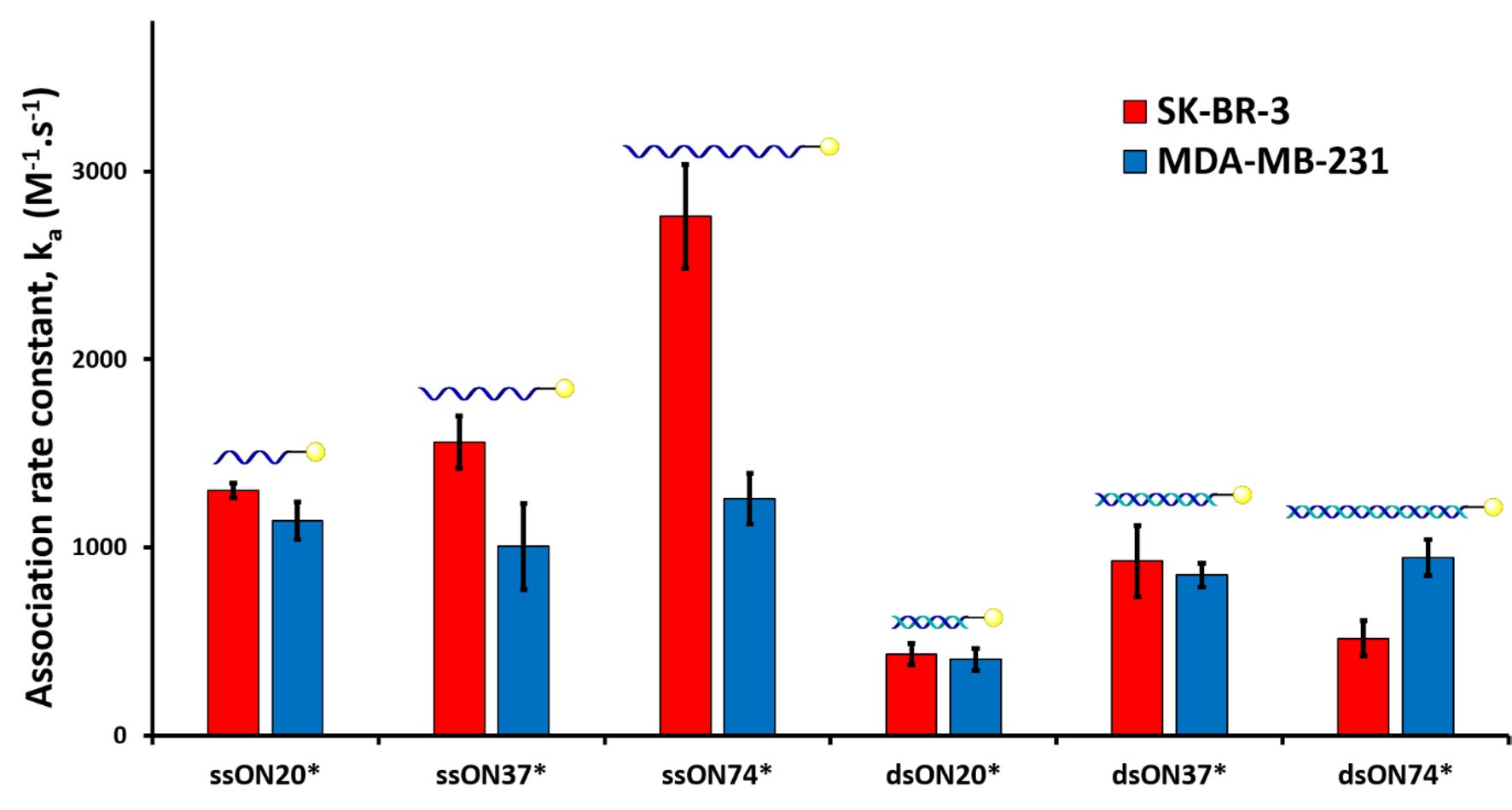 Association rate constants.