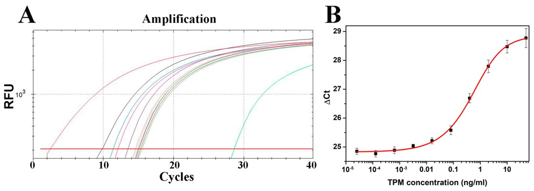 Fig.3 Development of immuno-PCR for crustacean tropomyosin quantification.