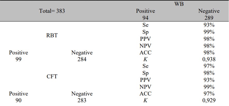 Tab.1 Comparison between results of RBT, CFT, and WB for animals from group II.