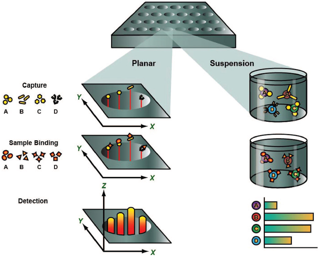 Multiplex formats: planar-based vs. suspension-based assays.