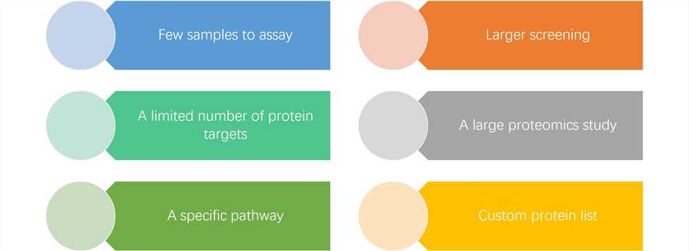 Fig.3 Features of our services. (Creative Biolabs Original)
