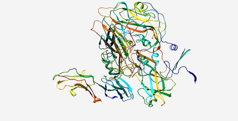 Fig.1 ICAM. (From Wikipedia: By Goultard59 - Own work, https://commons.wikimedia.org/wiki/File:ICAM1.png)