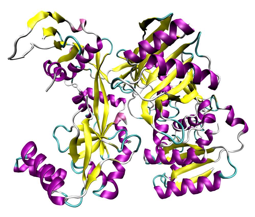 Fig.1 Argonaute protein. (From Wikipedia: By Opabinia regalis - Self created from PDB entry 1U04 using the freely available visualization and analysis package VMD raytraced with POV-Ray 3.6, https://commons.wikimedia.org/wiki/File:1u04-argonaute.png)