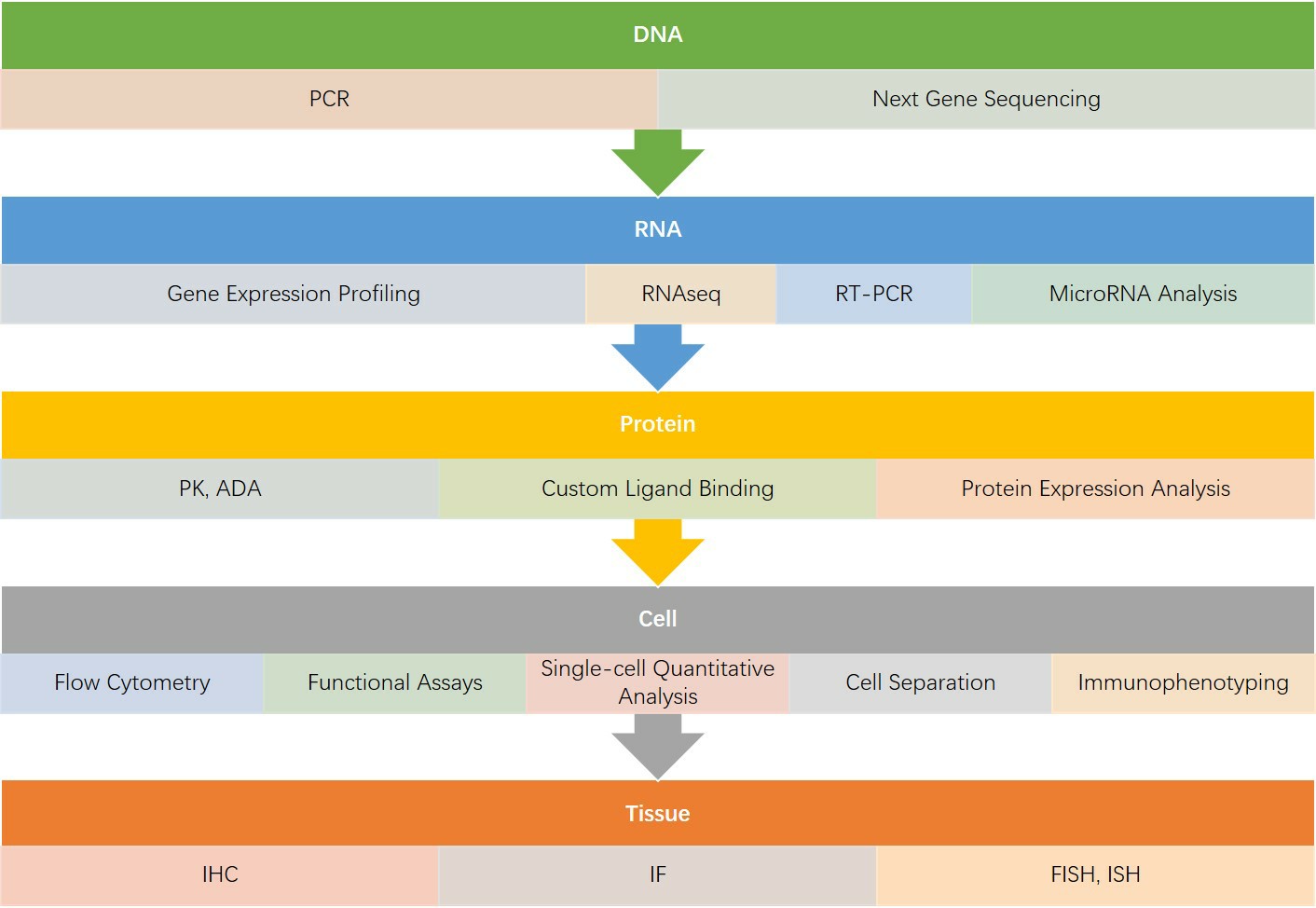 Comprehensive biomarker analysis services at Creative Biolabs