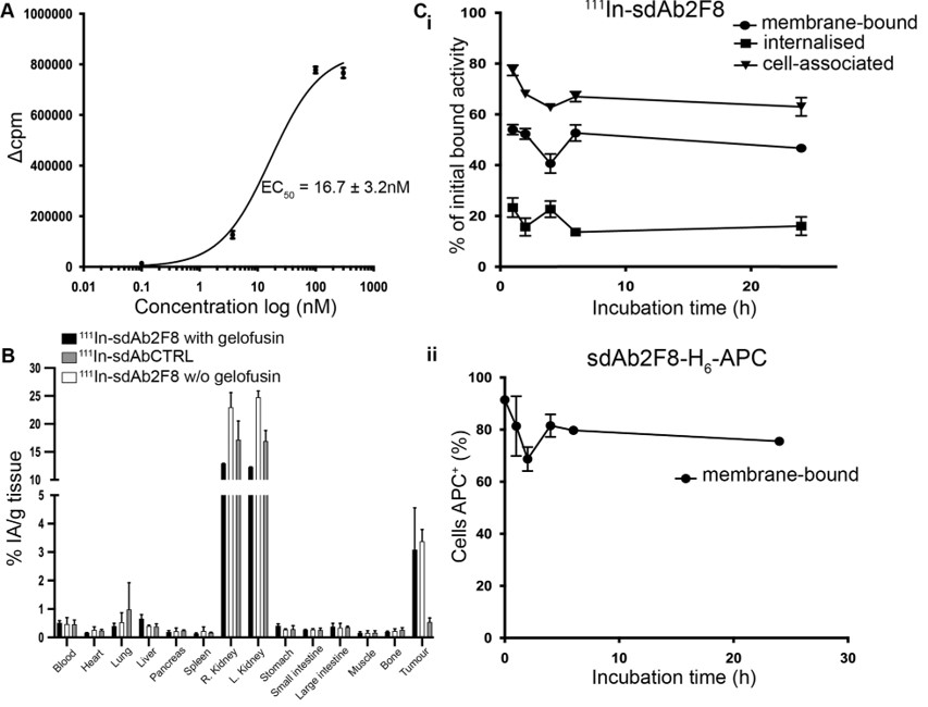 Saturation binding and degree of internalization of 111In-labelled sdAb.