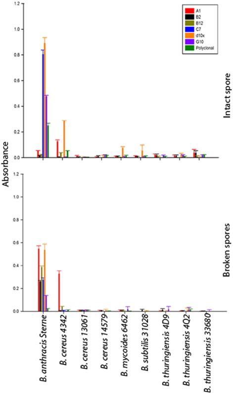 Assessment of sdAbs specificity by immobilizing intact and broken spores to microtiter plates at equivalent optical densities.