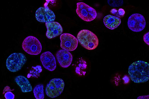Fig.9 Next generation diagnostic devices development services. (Creative Biolabs Authorized)
