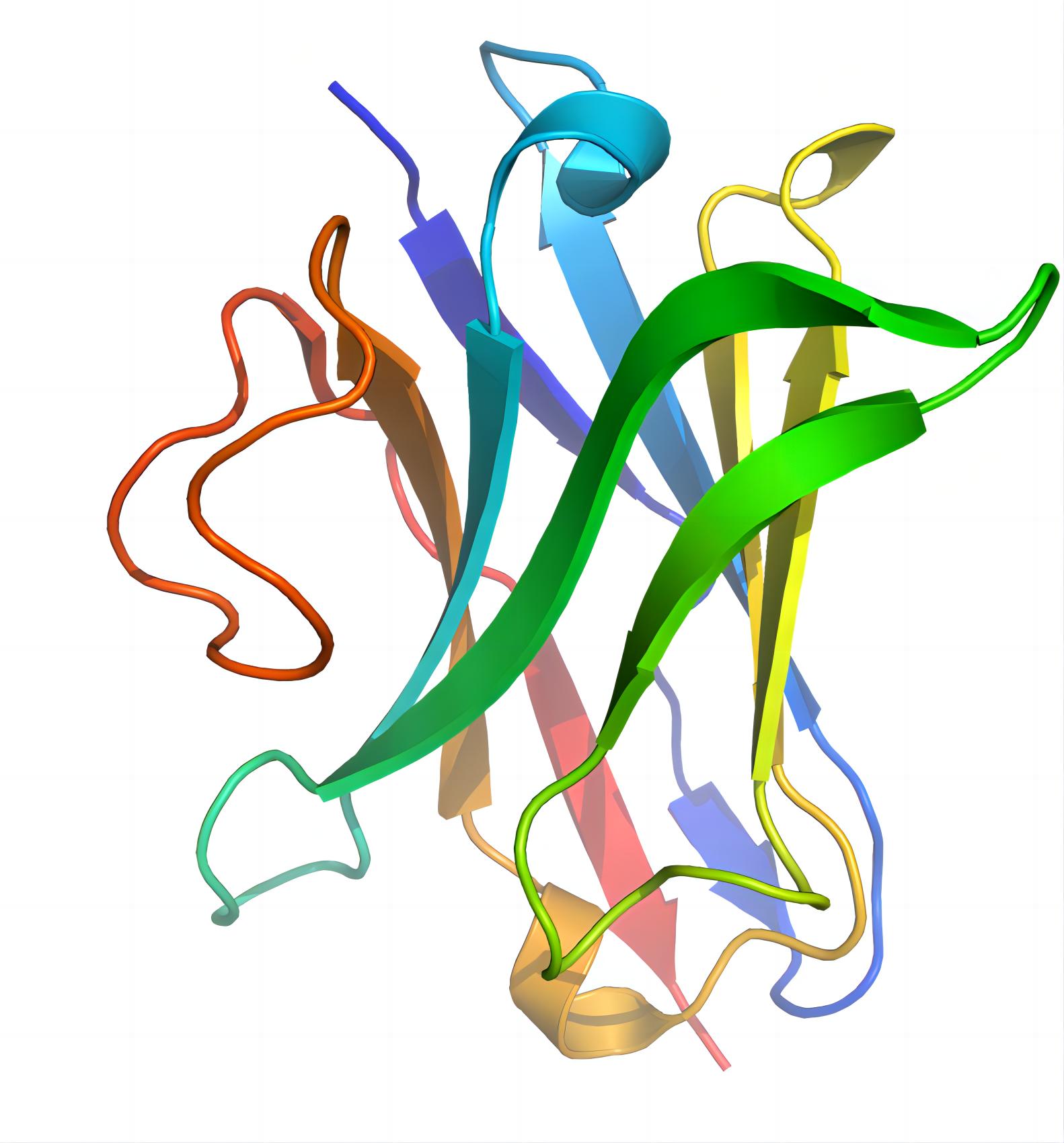 Fig.8 SdAb-based diagnostic tools development services. (From Wikipedia: By S. Jähnichen - Own work, https://commons.wikimedia.org/wiki/File:1I3V_(Lama_VHH_domain_unligated).png.)