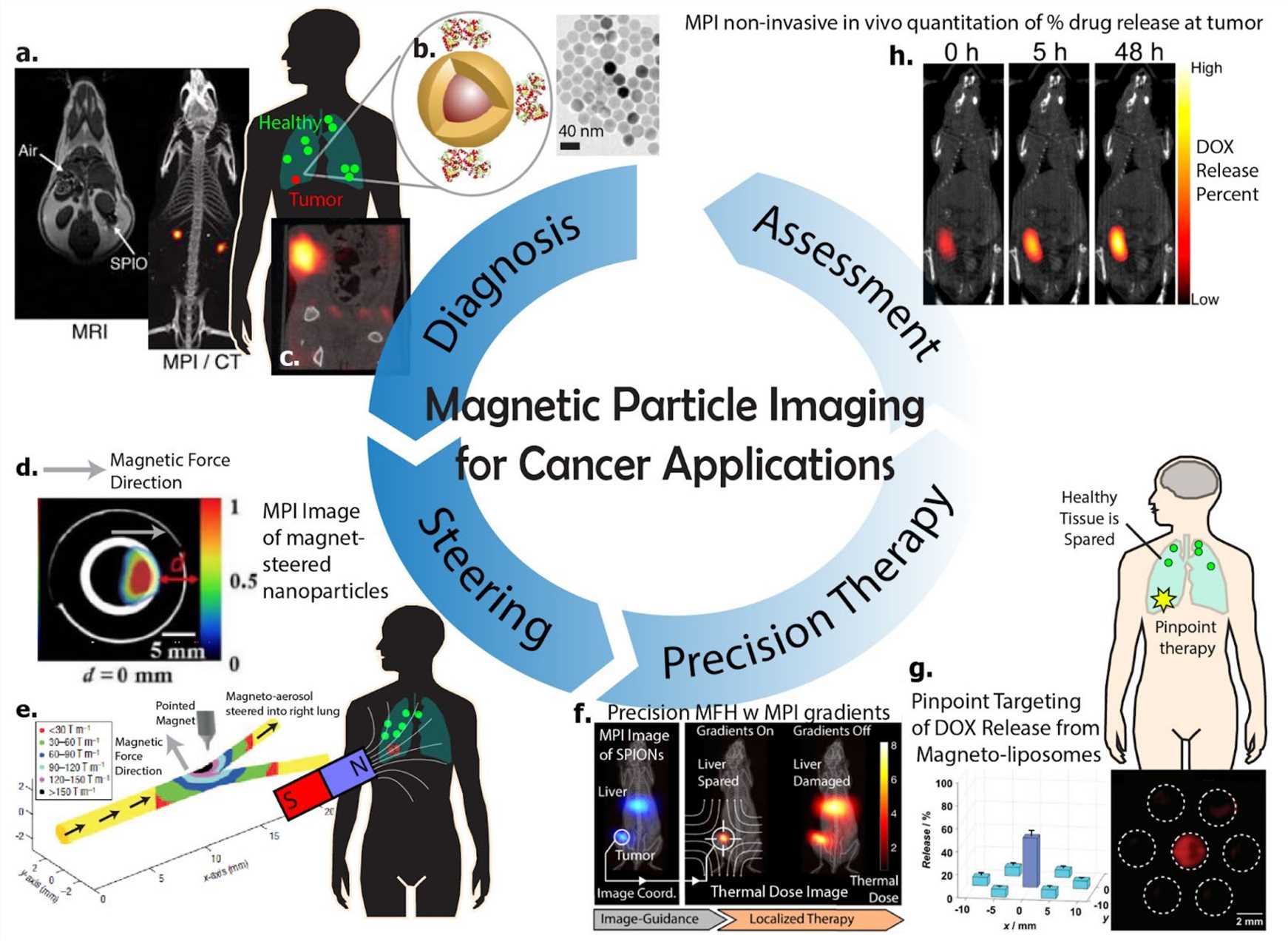 Fig.2 MNPs imaging’s prospects. (Tay, et al., 2021)