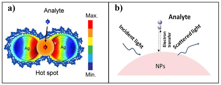 Two mechanisms contributed to surface-enhanced Raman spectroscopy (SERS). (a) Electromagnetic enhancement; (b) Chemical enhancement.