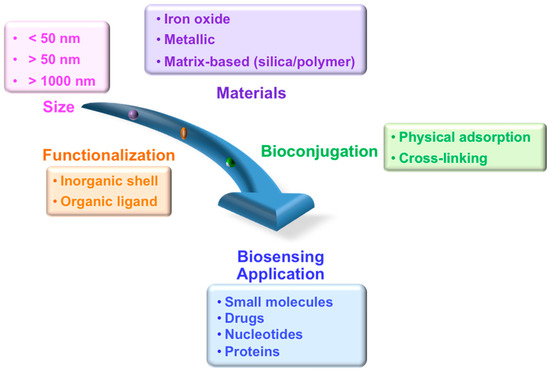 Design of magnetic particles for biosensing.