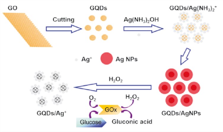 Illustrates the preparation of the GQDS/AgNP hybrid of colorimetric biosensors.