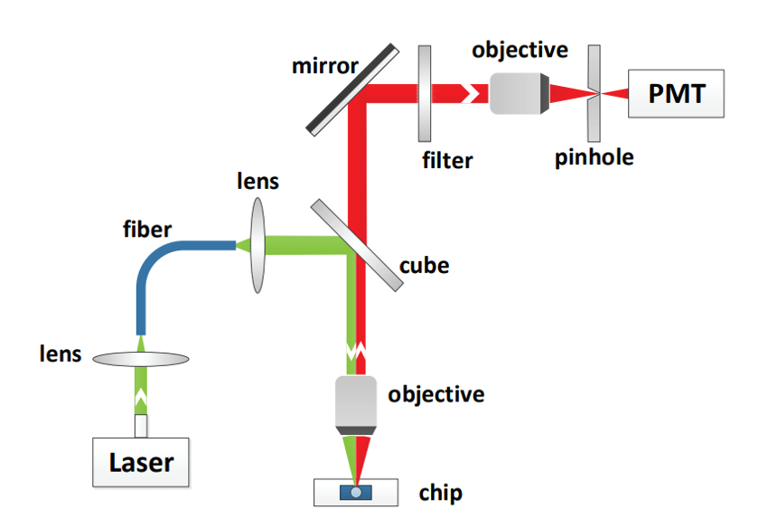 Schematic of fluorescence detection system.