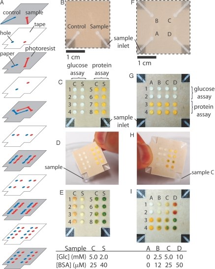 Three-dimensional paper-based Microfluidic device for running parallel assays and standards. 