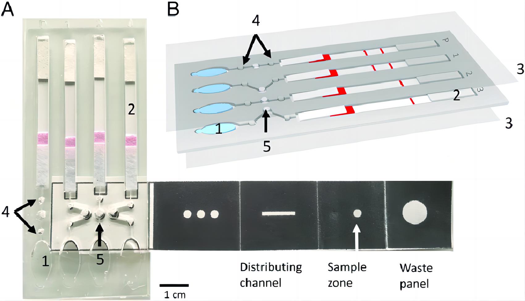 Fig.3 Paper-based microfluidic device. (Reboud, et al., 2019)