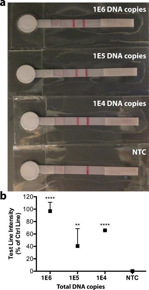 Integrated on-chip assay with cloned HPV 16 DNA standards. 