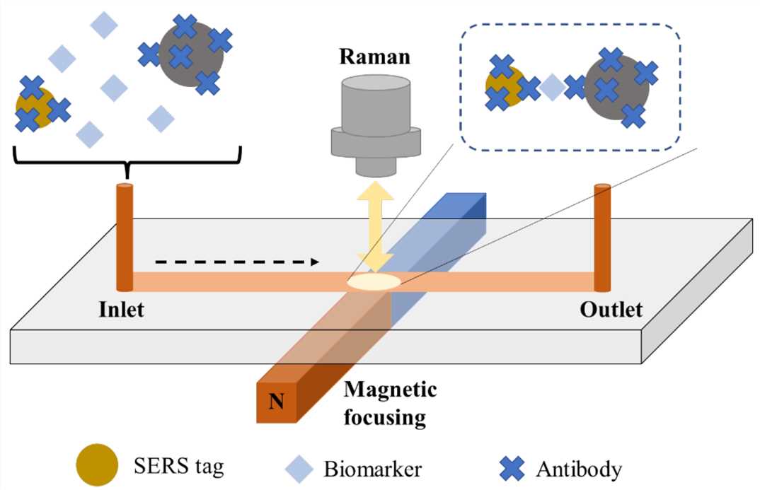 Fig.2 Microfluidic system. (Pollap, et al., 2022)
