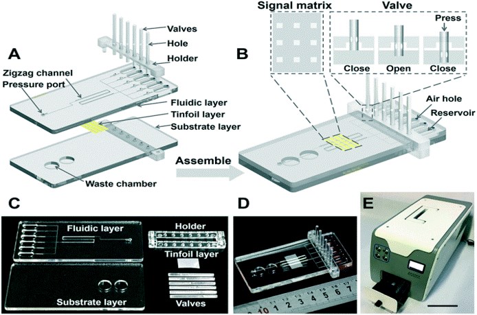 Design, fabrication and assembly of an integrated Microfluidic chip with on-chip valves for chemiluminescent immunoassay.