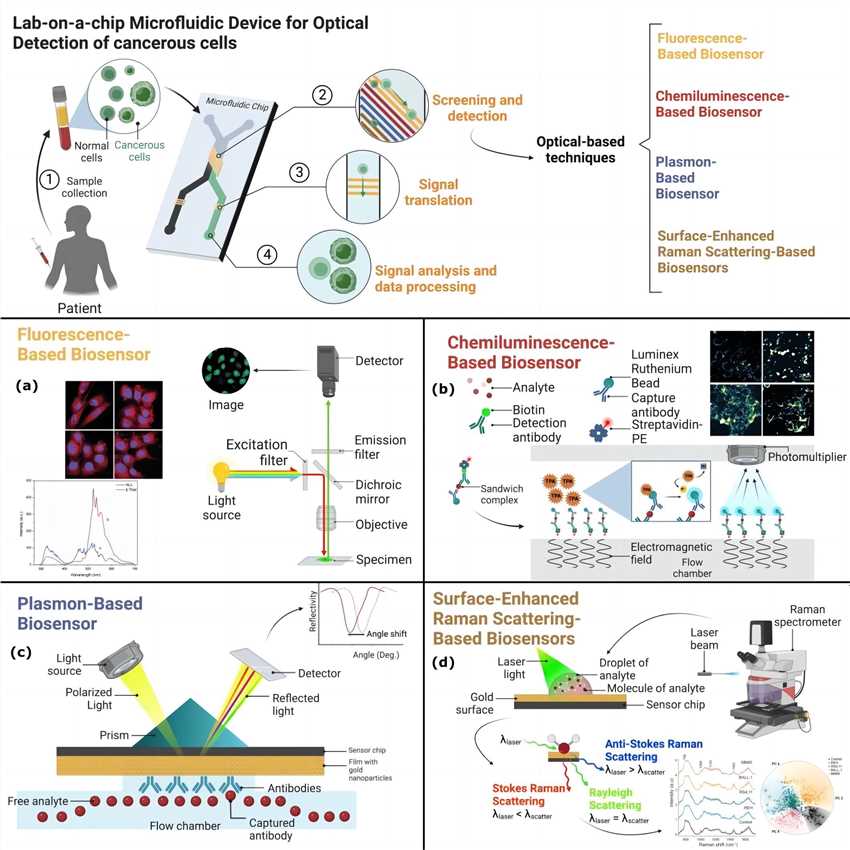 Fig.1 Lab-on-a-chip microfluidic devices. (García-Hernández, et al., 2023)