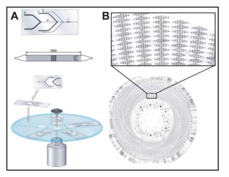 Centrifugal Microfluidic systems for DNA microarray applications. 