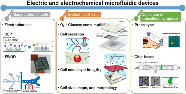 General outline of electric and electrochemical Microfluidic devices for cell analysis.